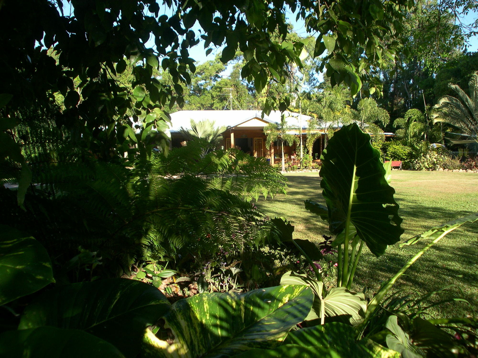 Hibiscus Lodge Bed & Breakfast Wongaling Beach Exterior photo